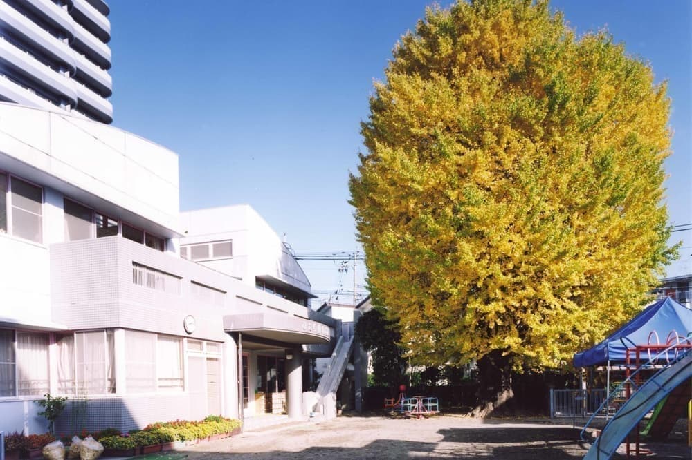 幼稚園　園舎　大銀杏