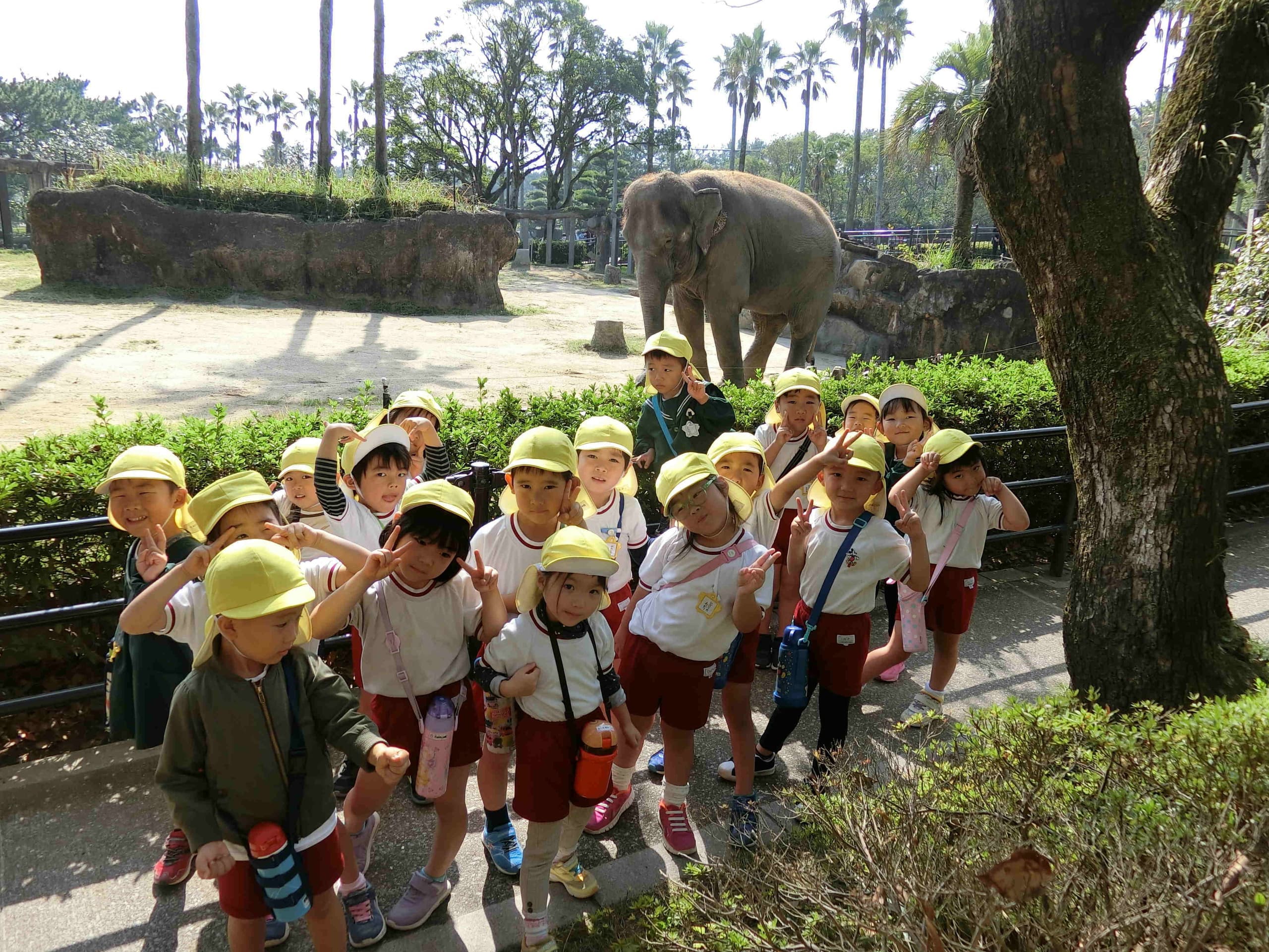 遠足　フェニックス自然動物園　ゾウ